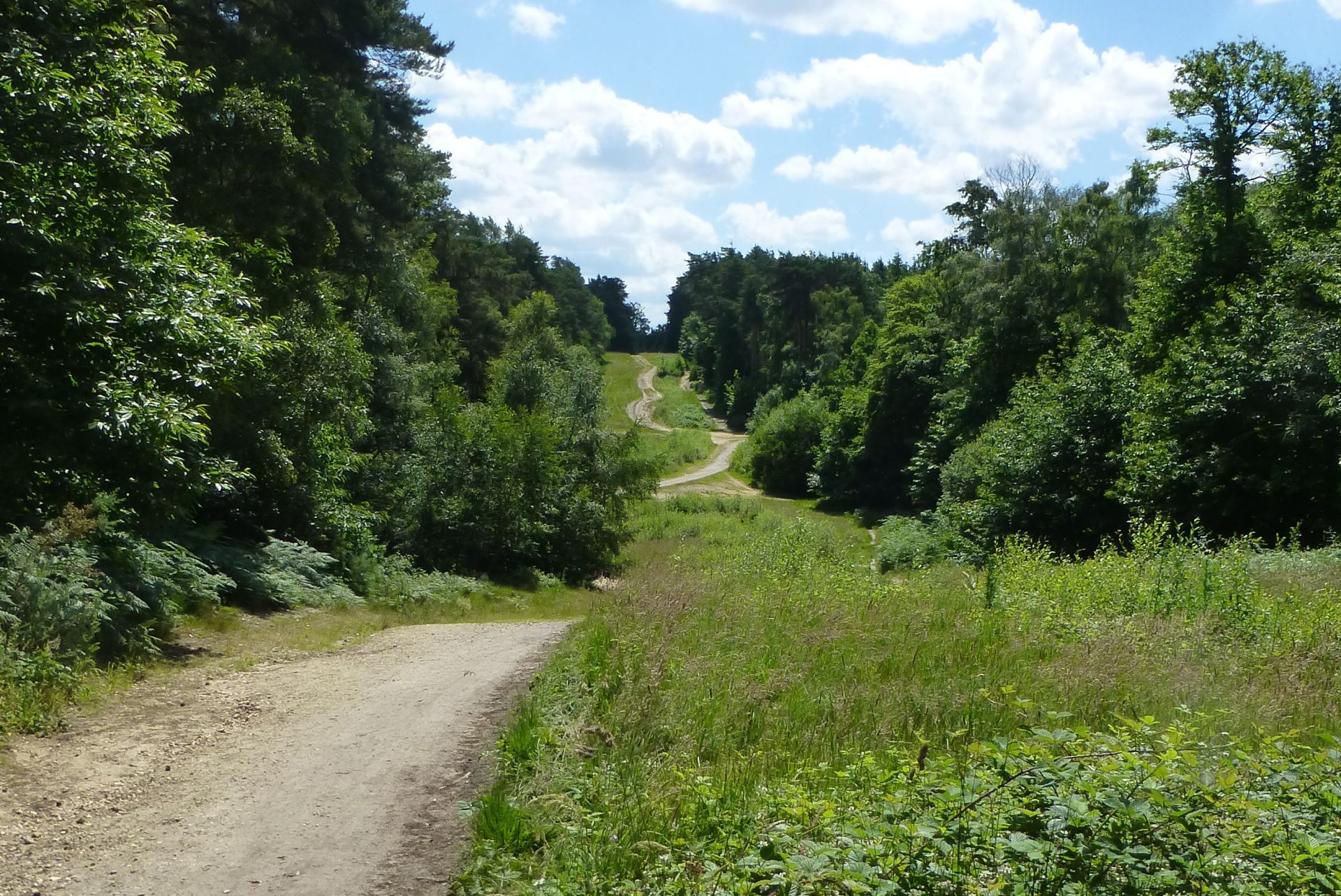 Hawley Common